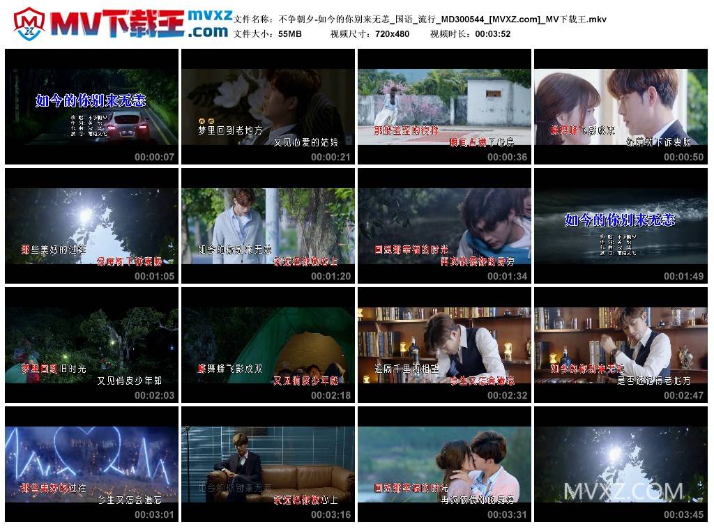 不争朝夕-如今的你别来无恙_国语_流行_MD300544